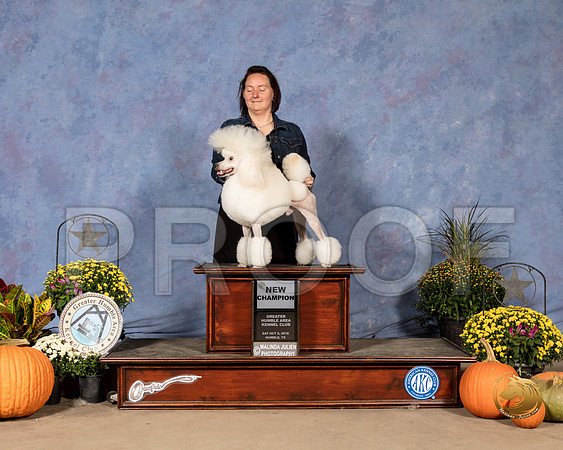 Poodle Miniature #5 Sat WD NCh Judge Eva Berg_SSR_3329_Humble2018_HR3