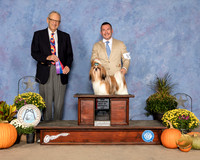 Shih Tzu #5 Sat BOS NCh Judge Ken Berg