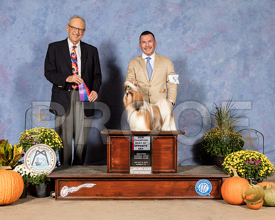 Shih Tzu #5 Sat BOS NCh Judge Ken Berg_SSR_3251_Humble2018_HR3