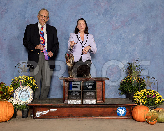 Yorkshire Terrier #9 Sat WD Judge Ken Berg_SSR_3257_Humble2018_HR3
