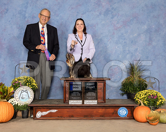 Yorkshire Terrier #9 Sat WD Judge Ken Berg_SSR_3260_Humble2018_HR3