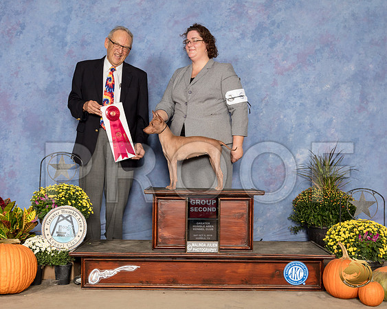 American Hairless Terrier #6 Sat G2 Judge Ken Berg_SSR_3407_Humble2018_HR3