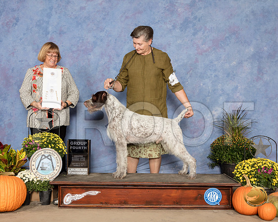 German Wirehaired Pointer #5 Sat G4 Judge Bev Anderson_SSR_3413_Humble2018_HR3