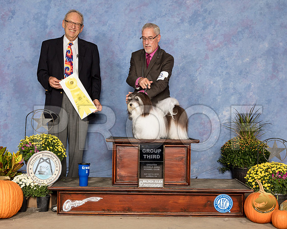 Lhasa Apso #8 Sat G3 Judge Ken Berg_SSR_3402_Humble2018_HR3