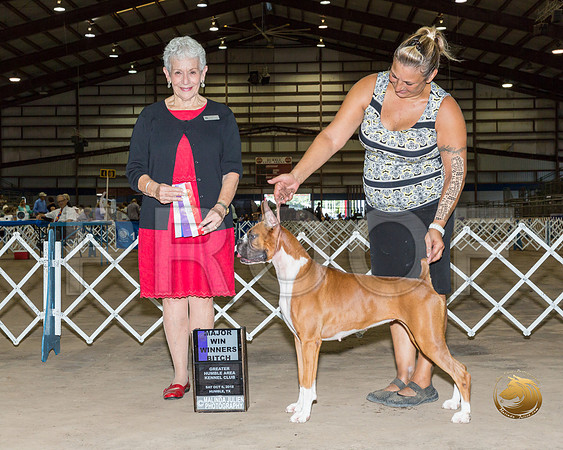 Boxer #18 Sat WB Maj Judge Eva Berg__ST_9699_Humble2018_HR3