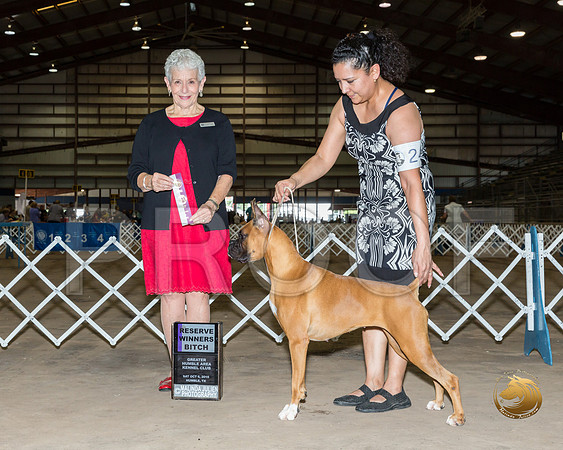 Boxer #24 Sat RWB Judge Eva Berg__ST_9704_Humble2018_HR3
