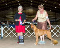 Boxer #31 Sat WD Maj Judge Eva Berg