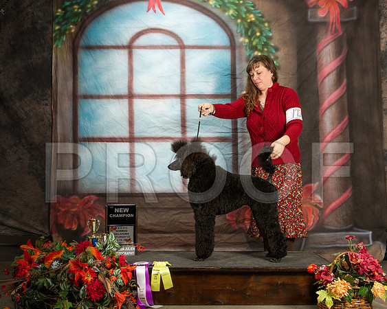 _ST_7094-NrmnNov2014-HR3