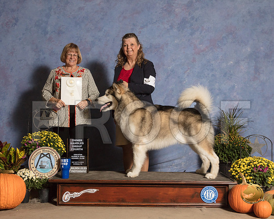 Alaskan Malamute #7 Sat OHG4 Judge Bev Anderson_SSR_3431_Humble2018_HR3