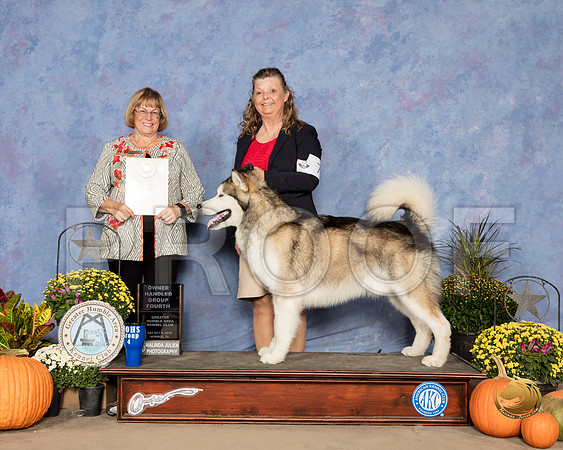 Alaskan Malamute #7 Sat OHG4 Judge Bev Anderson_SSR_3432_Humble2018_HR3
