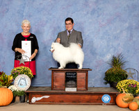 American Eskimo #5 Sat G4 Judge Eva Berg