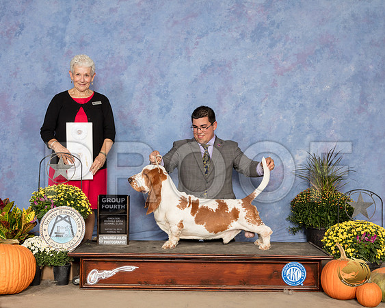 Basset Hound #5 Sat G4 Judge Eva Berg_SSR_3450_Humble2018_HR3