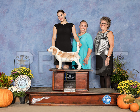 Beagle 13 #8 Sat BOV Judge Andrea Bradford MD_SSR_3436_Humble2018_HR3