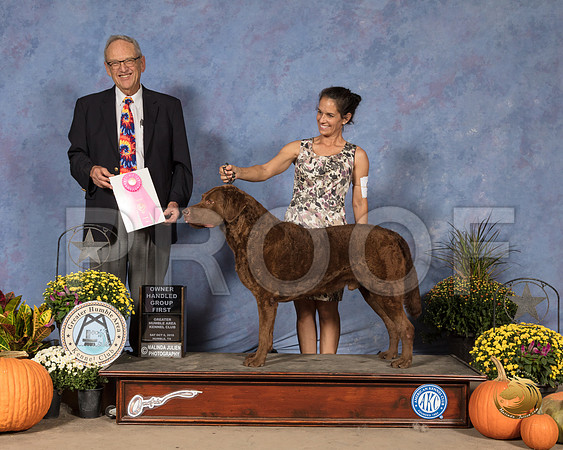 Chesapeak Bay Retriever #9 Sat OHG1 Judge Ken Berg_SSR_3485_Humble2018_HR3
