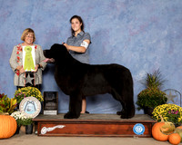 Newfound #7 Sat OHRBIS Judge Bev Anderson