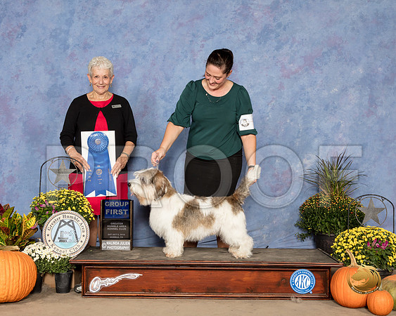 Petits Bassets Griffons Vendeens #5 Sat G1 Judge Eva Berg_SSR_3474_Humble2018_HR3