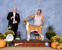 Boxer #25 Sun WD Maj Judge Garry Newton