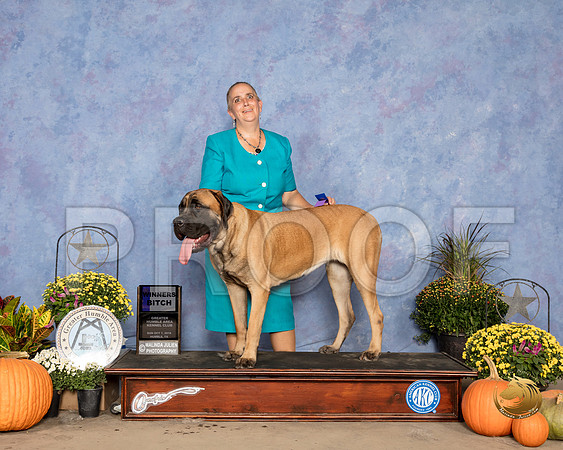 Mastiff #14 Sun WB Judge Garry Newton_SSR_3615_Humble2018_HR3
