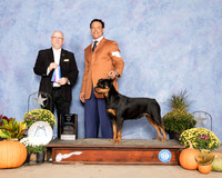 Rottweiler #6 Sun BOW Judge Garry Newton