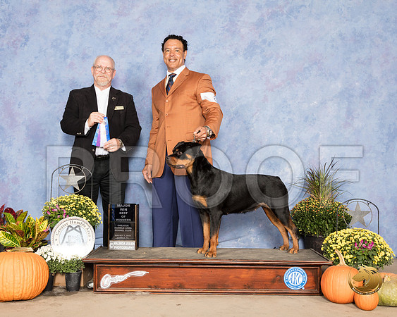 Rottweiler #6 Sun BOW Judge Garry Newton_SSR_3552_Humble2018_HR3