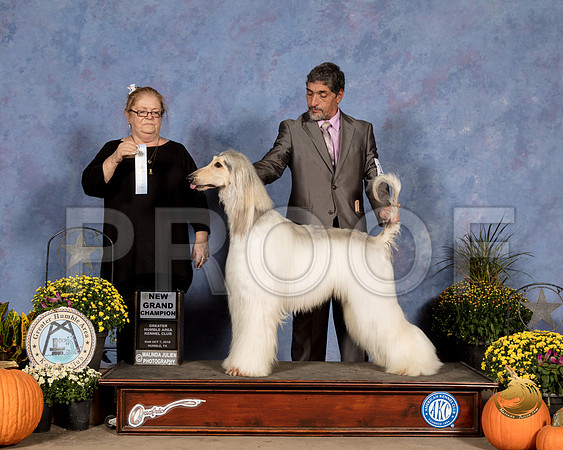 Afghan Hound #19 Sun SD NGrCh Judge Denise Ross_SSR_3693_Humble2018_HR3