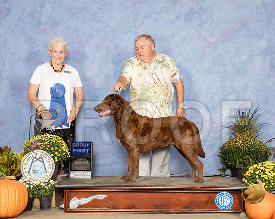 Chesapeake Bay Retriever #6 Sun G1 Judge Eva Berg_SSR_3800_Humble2018_HR3