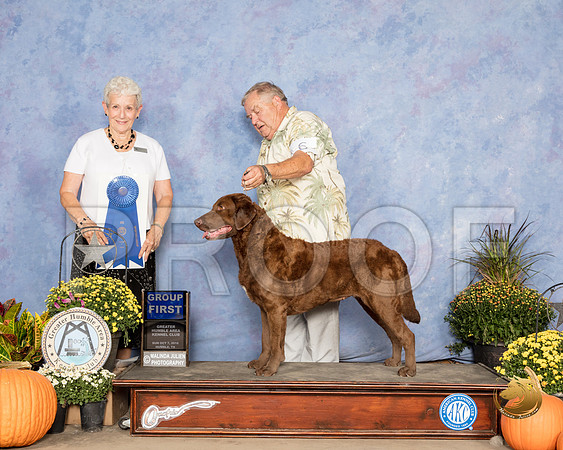 Chesapeake Bay Retriever #6 Sun G1 Judge Eva Berg_SSR_3801_Humble2018_HR3