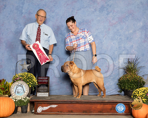 Chinese Shar Pei #6 Sun G2 Judge Ken Berg_SSR_3765_Humble2018_HR3