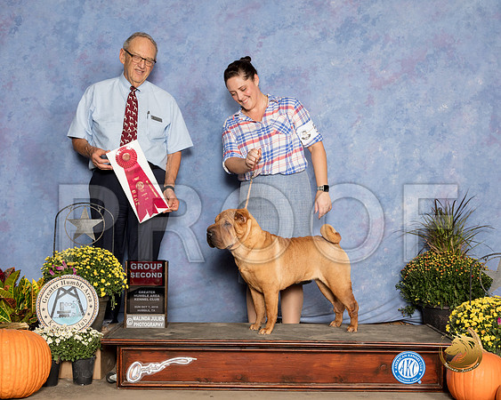 Chinese Shar Pei #6 Sun G2 Judge Ken Berg_SSR_3766_Humble2018_HR3
