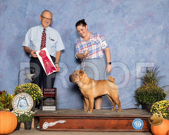 Chinese Shar Pei #6 Sun G2 Judge Ken Berg_SSR_3767_Humble2018_HR3