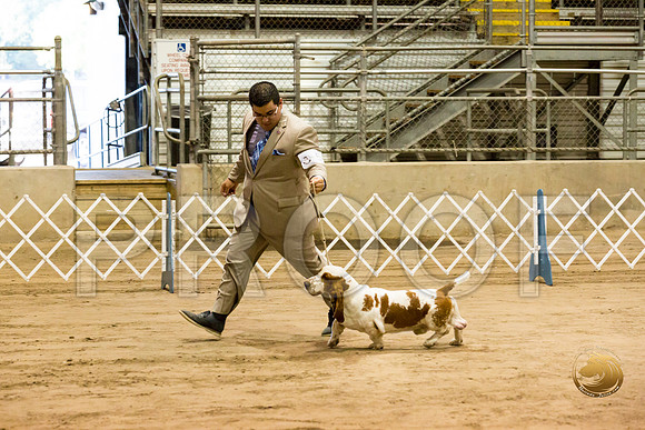 Basset Hound #5 Fri COLLIER Kay Dee Hagy Howard Haskell_JJJ_8494_Humble2018_HR3