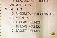 Borzoi #17 #28 Fri Laurie Courtney
