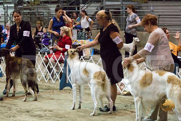 Borzoi #17 #28 Fri Laurie Courtney_JJJ_8258_Humble2018_HR3