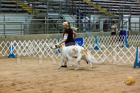 Borzoi #17 #28 Fri Laurie Courtney_JJJ_8264_Humble2018_HR3