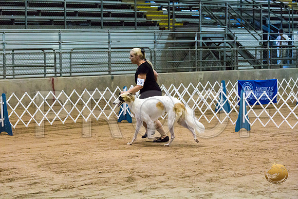 Borzoi #17 #28 Fri Laurie Courtney_JJJ_8267_Humble2018_HR3