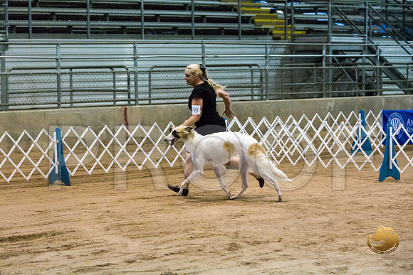 Borzoi #17 #28 Fri Laurie Courtney_JJJ_8268_Humble2018_HR3
