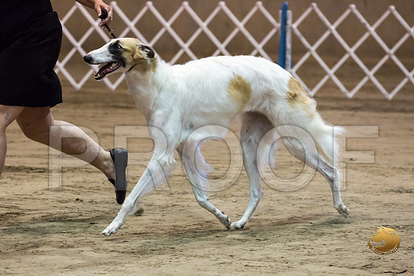 Borzoi #17 #28 Fri Laurie Courtney_JJJ_8277_Humble2018_HR3
