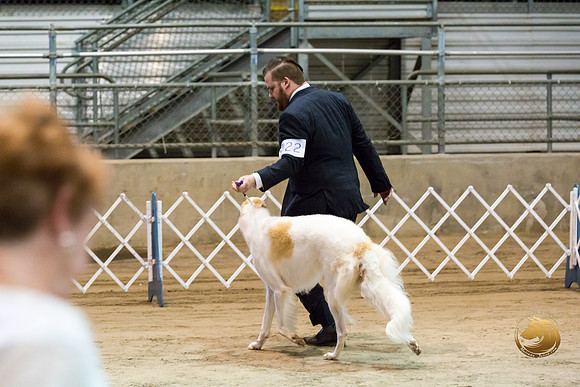 Borzoi #7 #20 #22 Fri Jean Durdin_JJJ_8339_Humble2018_HR3