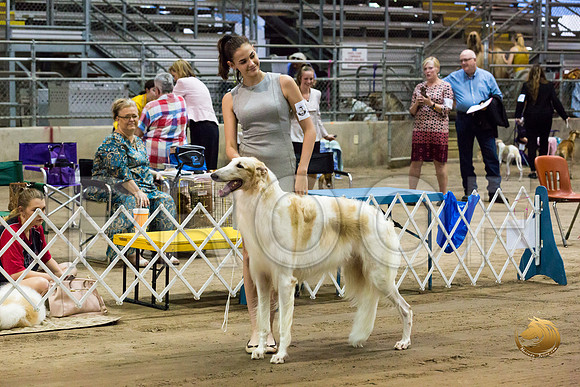 Junior Showmanship Ring Fri_JJJ_7923_Humble2018_HR3