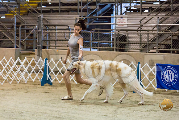 Junior Showmanship Ring Fri_JJJ_7929_Humble2018_HR3