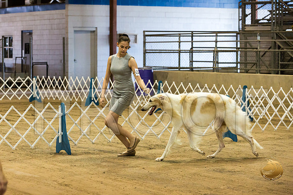 Junior Showmanship Ring Fri_JJJ_7937_Humble2018_HR3