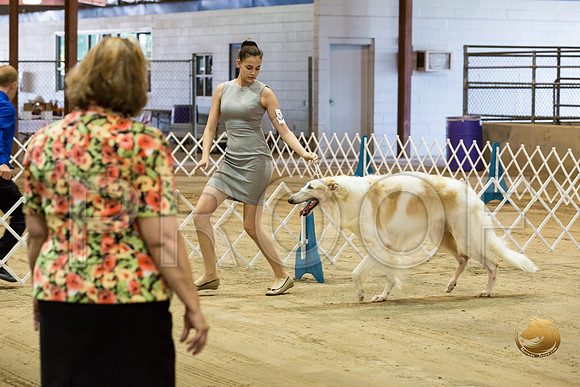 Junior Showmanship Ring Fri_JJJ_7939_Humble2018_HR3