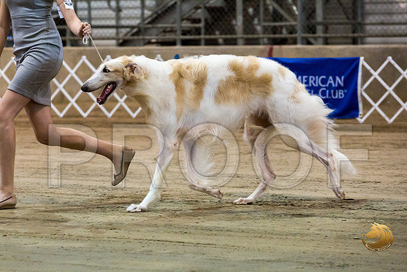 Junior Showmanship Ring Fri_JJJ_7946_Humble2018_HR3