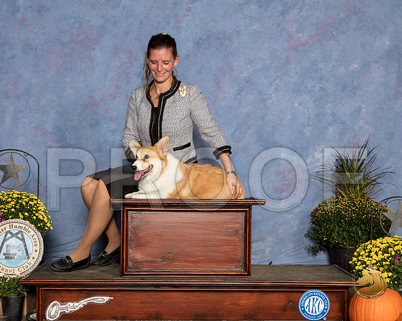 Pembroke Welsh Corgi Barbara Weiner_SSR_3377_Humble2018_HR3
