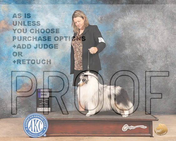 Shetland Sheepdog #9 Fri WD Judge Eric Liebes r-MMJ_2999-Addison2022-HR3