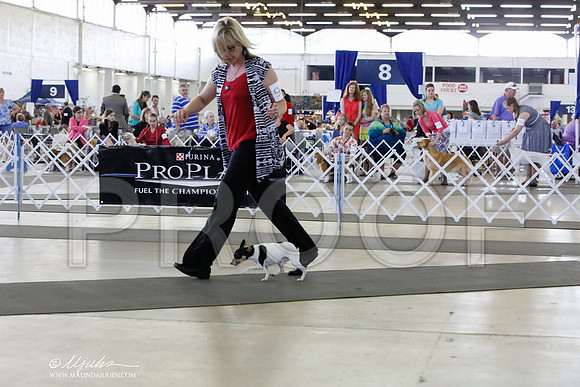 _HR_5361-DallasJul2014-HR3