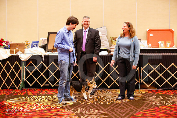 _JJ_0977-HstnCorgiFeb2015-HR3