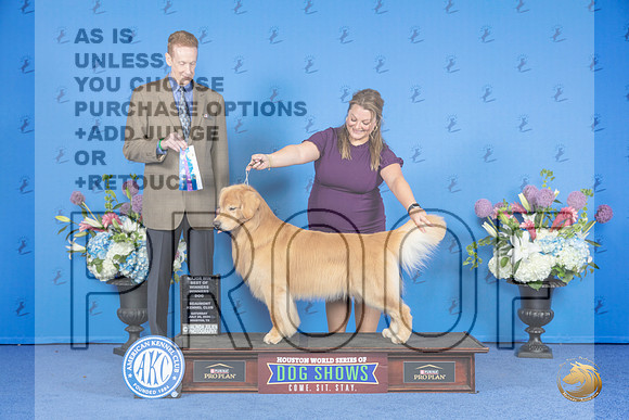 Golden Retriever #17 SAT WD BOW M Judge Ronald Freeman__JP_9962_Houston_2024_HR3
