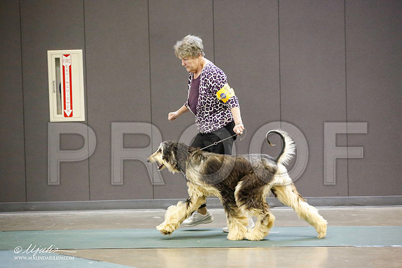 _JN_3988-BeltonJan2015-HR3