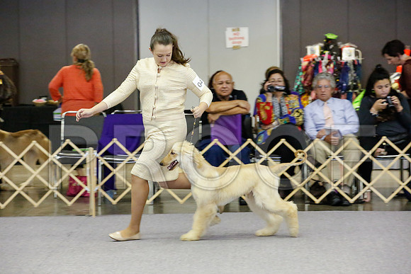 _JJ_0086-AfgBeltonOct2014-HR3